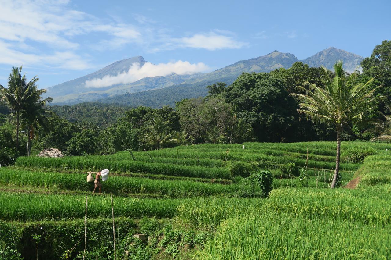 Budaya Kaki Rinjani Senaru Extérieur photo