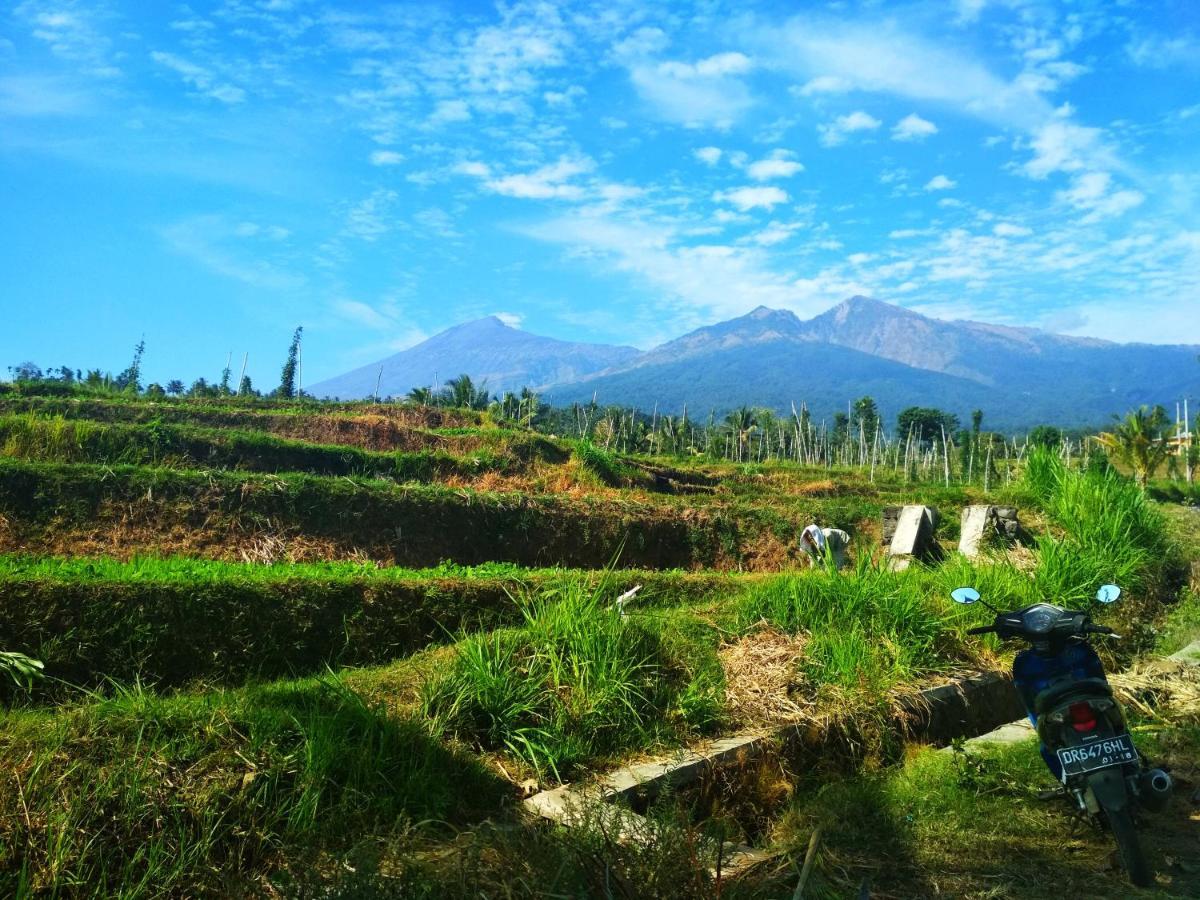 Budaya Kaki Rinjani Senaru Extérieur photo